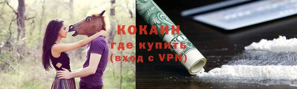 мдпв Пересвет