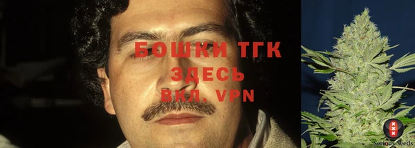 прущий лед Пестово