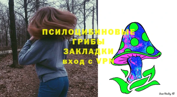 мдпв Пересвет
