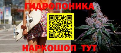 шишки Жуковский