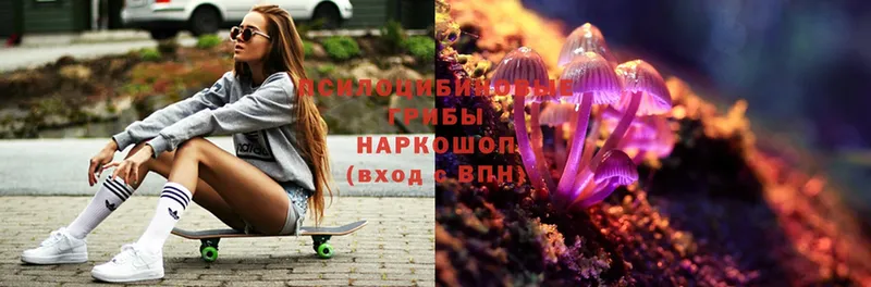 Галлюциногенные грибы Magic Shrooms  Саки 