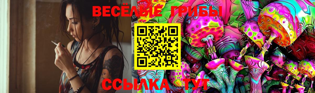 Саки  Псилоцибиновые грибы мухоморы  Вход с VPN 