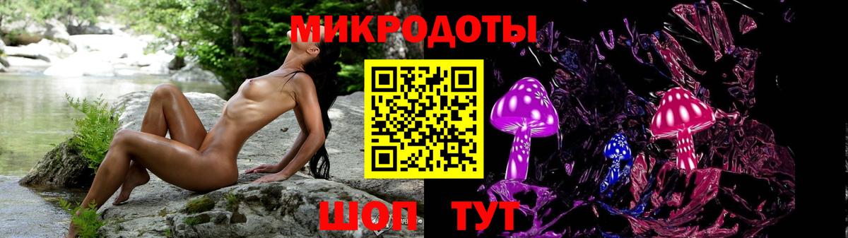 Псилоцибиновые грибы Cubensis Саки