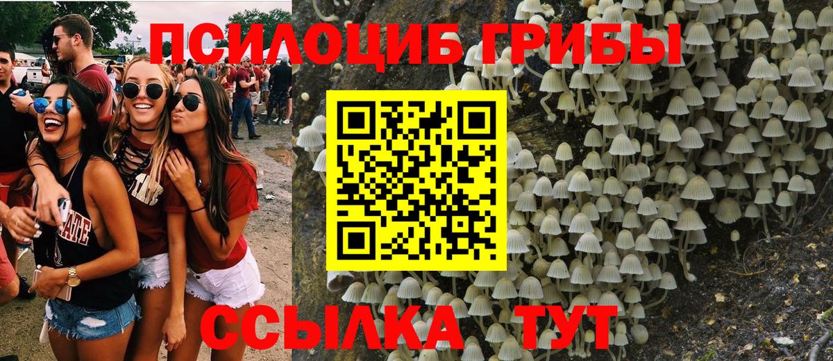 Псилоцибиновые грибы мухоморы Саки